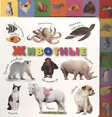 Лесенка(best/бол).Животные