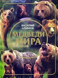 Медведи мира