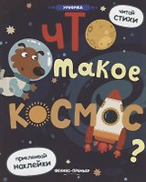 Что такое космос?: книжка с наклейками