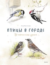 Птицы в городе. Где найти и как узнать