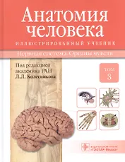 Анатомия человека.Т.3-Нервная система.Органы чувств.Учебник в 3 томах