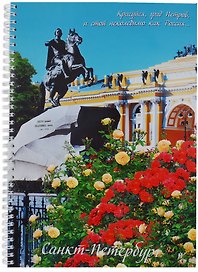 Тетрадь общая «СПб», 96 листов в клетку, А4, в ассортименте - СевЗапУпак