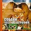 Собаки. 1001 фотография