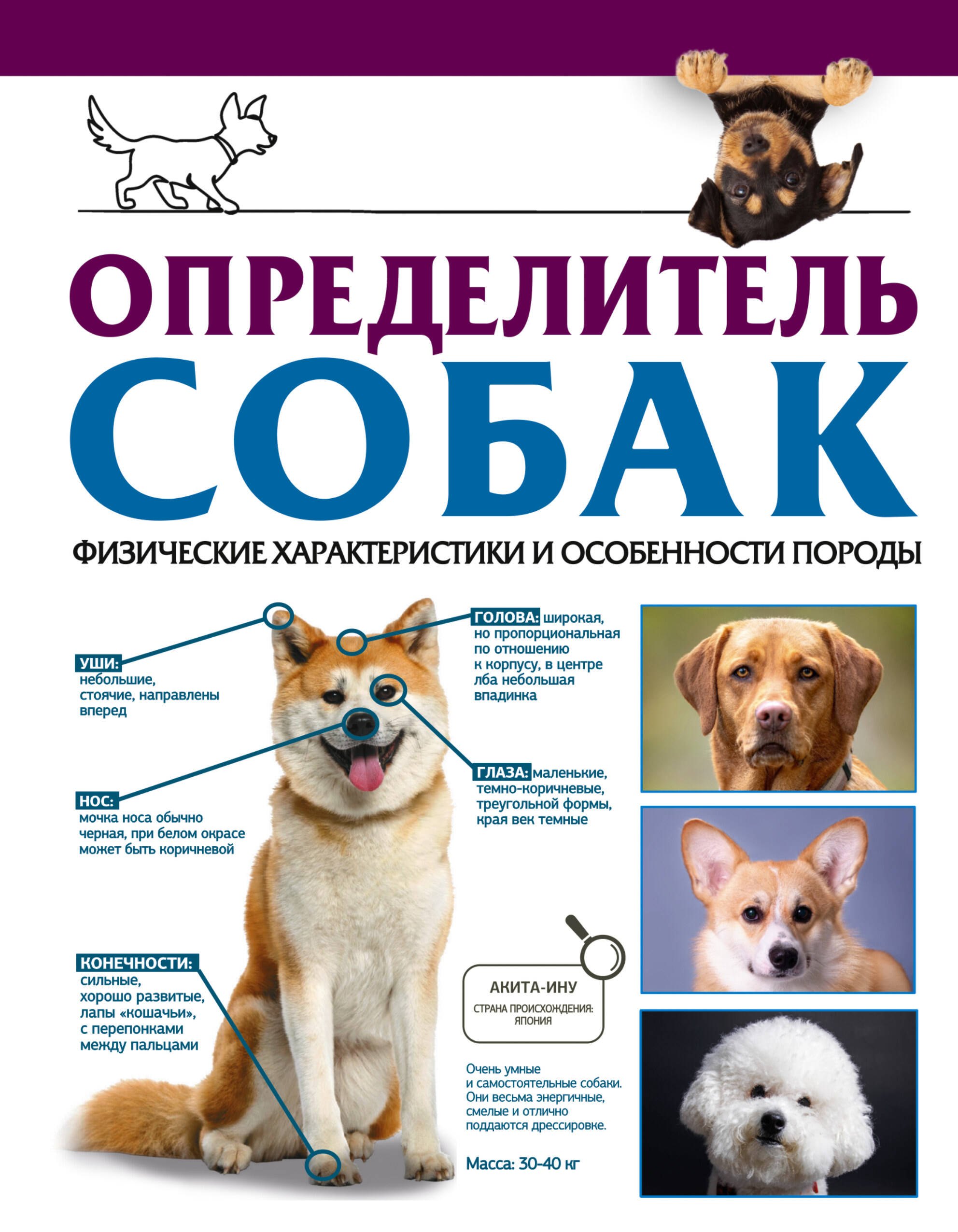 

Определитель собак. Физические характеристики и особеннности породы