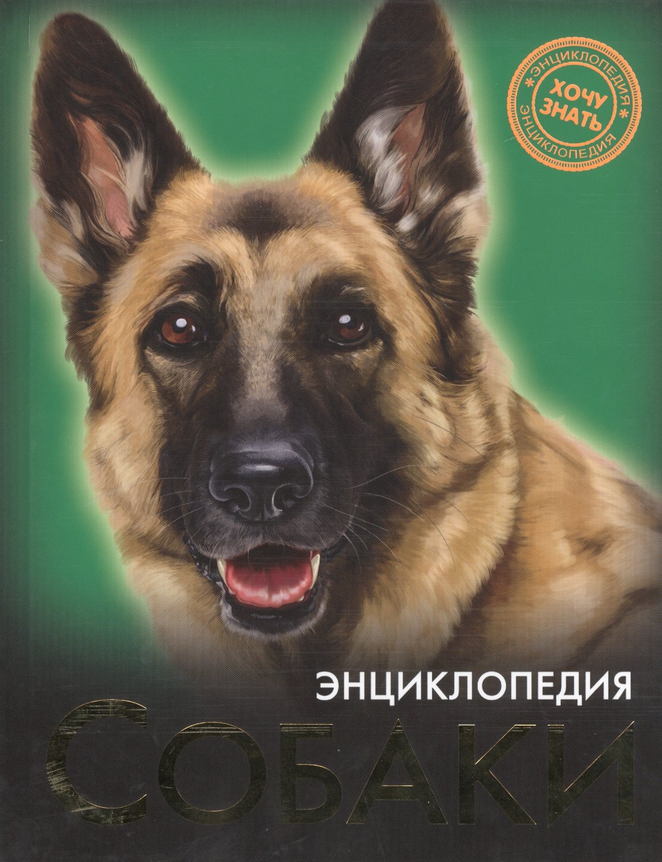 

Собаки