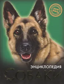 Собаки