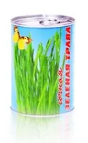 Сувенир Прорастай-ка Сочная трава (b-4)