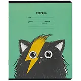 Тетрадь в клетку Феникс+, "Хип хоп команда", 12 листов, в ассортименте