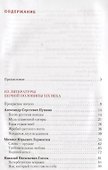 Литература 10 кл. Учебник Базовый уровень Ч. 1 (4,5 изд) (ИннШк) Зинин (ФГОС) - 1