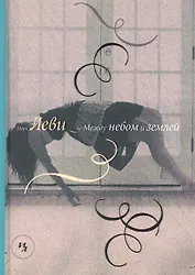Между небом и землей: Роман