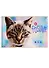 Альбом для рисования BG, "Кошачья жизнь", А4, 24 листа, на гребне, в ассортименте - 0