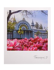 Открытка одинарная "Пятигорск. Цветник" фото