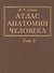 Атлас анатомии человека. В 3-х томах. Том 3. Учение о нервной системе - 0