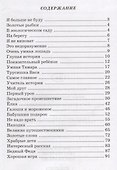 Загадочное происшествие - 1