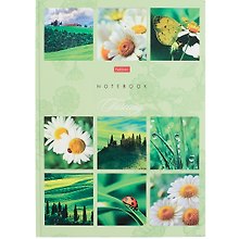 Книга для записей А4 80л кл. "Ромашковое настроение" 5цв.блок, 7БЦ, мат.ламинация, выб.УФлак