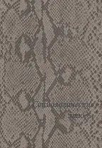 Социологические этюды