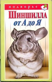 Шиншилла от А до Я