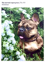 Набор для творчества LORI. Картина по номерам "На летней прогулке", 50 х 40 см