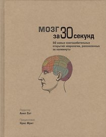 Мозг за 30 секунд. Пер. с англ.