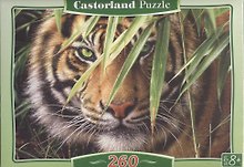 Пазл 260 MIDI B-27200 Тигр (32х23см) (коробка) (Castorland)
