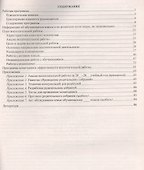 Рабочая программа классного руководителя. 2 класс. ФГОС - 1