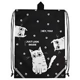 Мешок для сменной обуви "Три кота" 36 х 48 см, 1 отделение, субл.печать