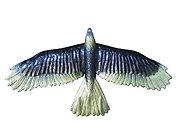Планер Bradex ОРЕЛ золотистый. Размер 56,2х29,2х5,6 см DE 0433