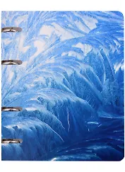 Тетрадь на кольцах в клетку Listoff, "Иней", 100 листов