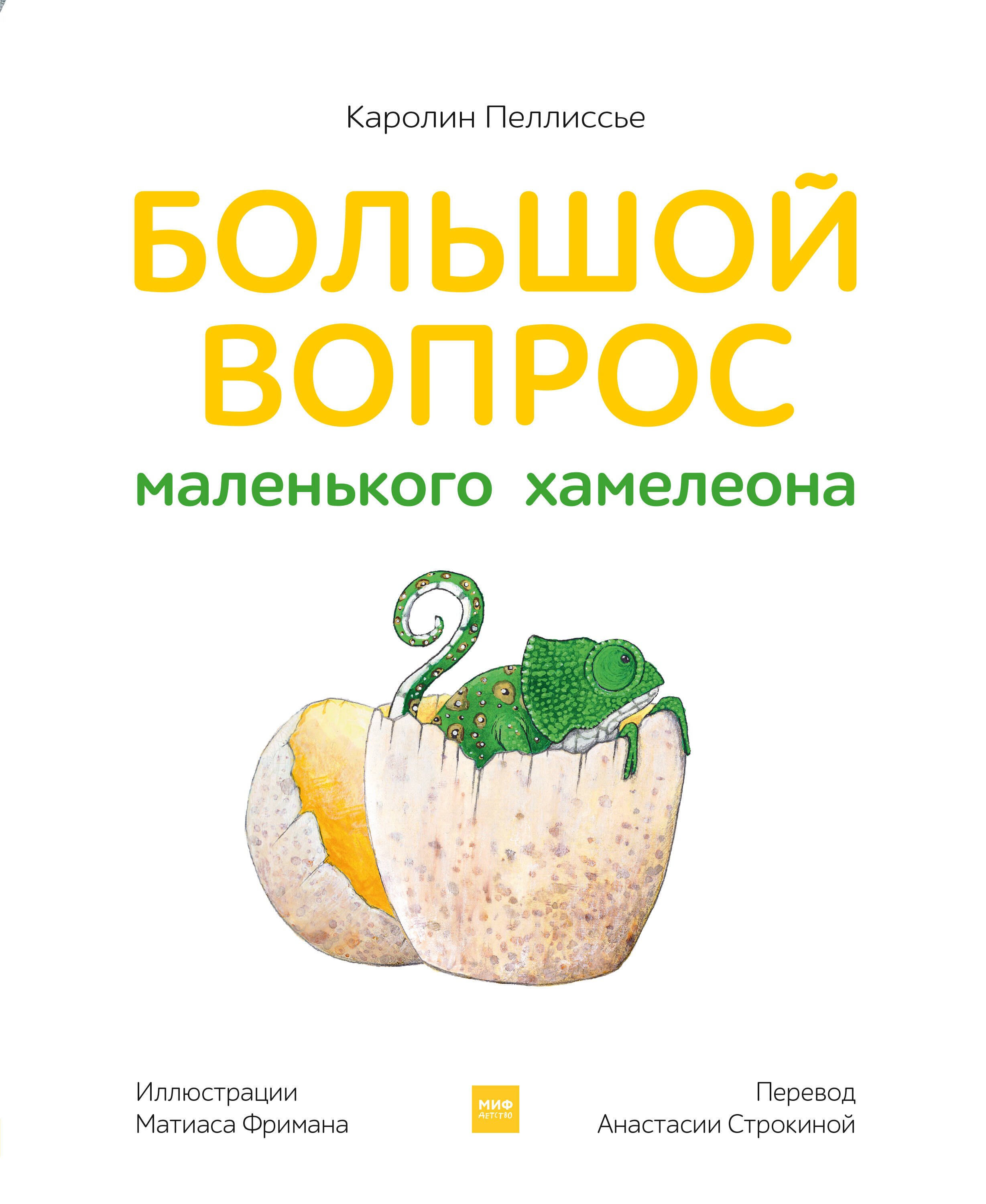 

Большой вопрос маленького хамелеона