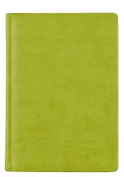 Ежедневник, ТМАдъютант А5 (15*21см) 352стр. н/датир. Светло-зеленый