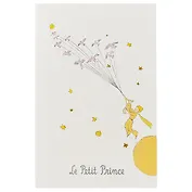 Скетчбук «Маленький принц и перелётные птицы», А5