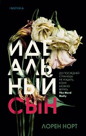Идеальный сын