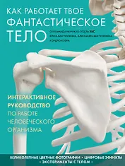 Как работает твое фантастическое тело
