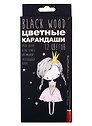 Карандаши цветные Bruno Visconti, BlackwoodColor, 12 цветов, в ассортименте