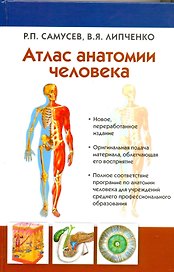 Атлас анатомии человека