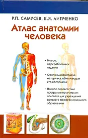 Атлас анатомии человека