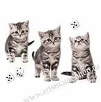 Наклейки для дома, Декоретто, Кот Борис