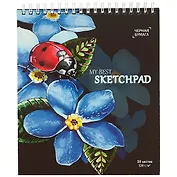 Скетчбук с чёрной бумагой «Божья коровка», 30 листов, 19.5 х 16.8 см