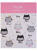 Тетрадь в клетку InFolio, Funny cats, 48 листов