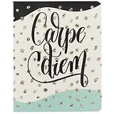 Тетрадь в клетку Academy Style, "Carpe Diem (ювелирная)", 60 листов, в ассортименте