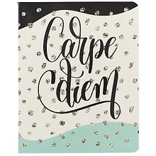 Тетрадь общая «Carpe Diem (ювелирная)», 60 листов в клетку, А5, в ассортименте - Academy Style