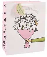 Пакет А4 32*26*12 "Котики. Congratulations" нейтр., бум.мат.ламинат