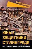 Юные защитники Сталинграда. Рассказы очевидцев подвига - 0