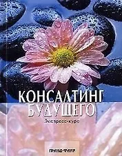 Консалтинг будущего Экспресс-курс