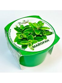 Набор для выращивания "Зелень круглый год" Майоран (411890)