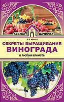 Секреты выращивания винограда в любом климате