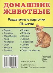 Домашние животные. 16 раздаточных карточек с текстом