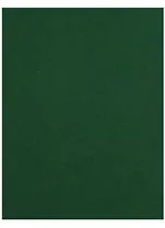 Бумага цветная 50*65 "Iris Vivaldi" Зеленый еловый