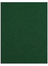 Бумага цветная 50*65 "Iris Vivaldi" Зеленый еловый