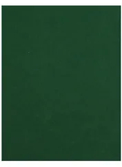 Бумага цветная 50*65 "Iris Vivaldi" Зеленый еловый